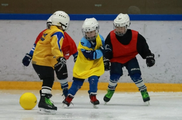 Программа «JAS NOMAD»: выездные семинары для тренеров прошли в Кокшетау и Павлодаре