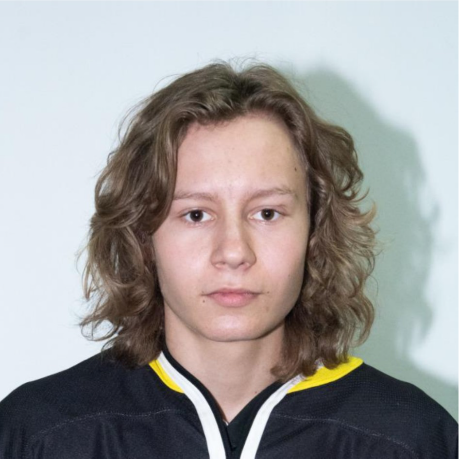 Степанов Михаил