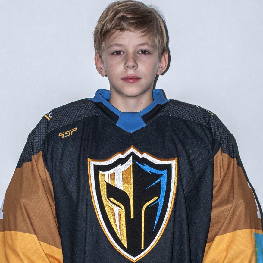 Олейник Владлен