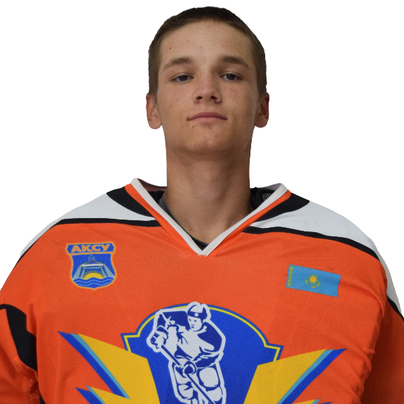 Лебедь Тимур