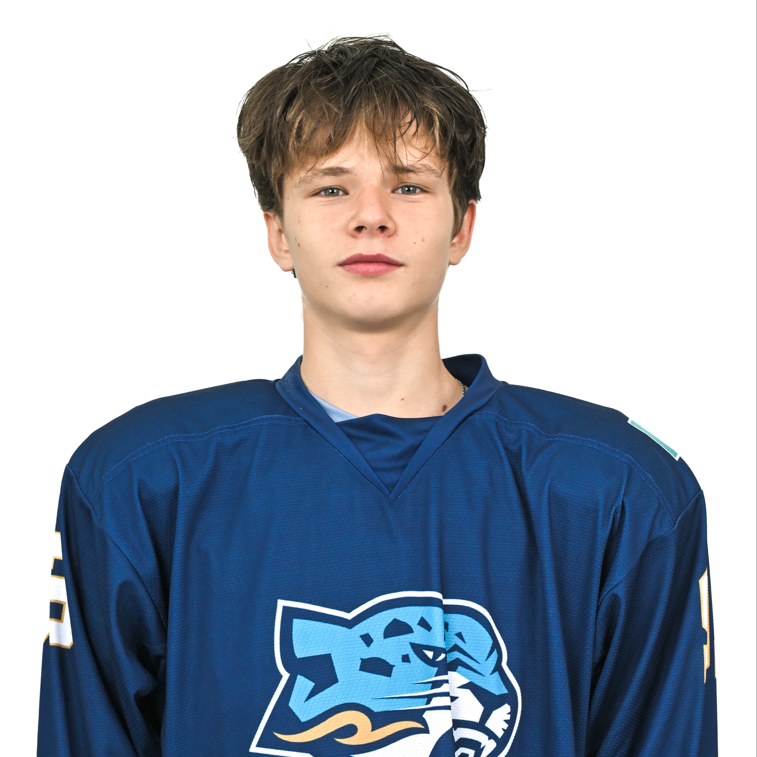 Островский Арсений