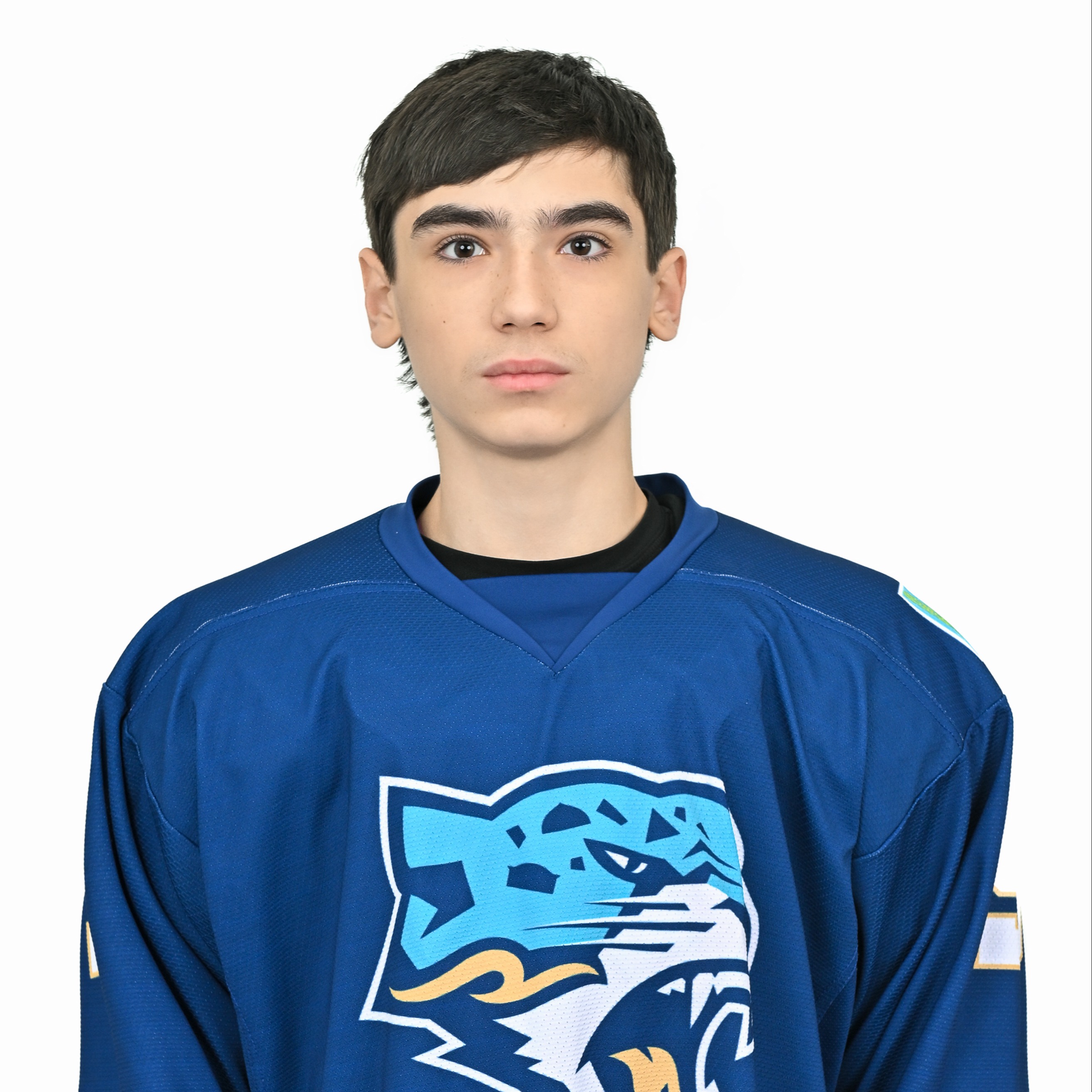 Степанов Владимир