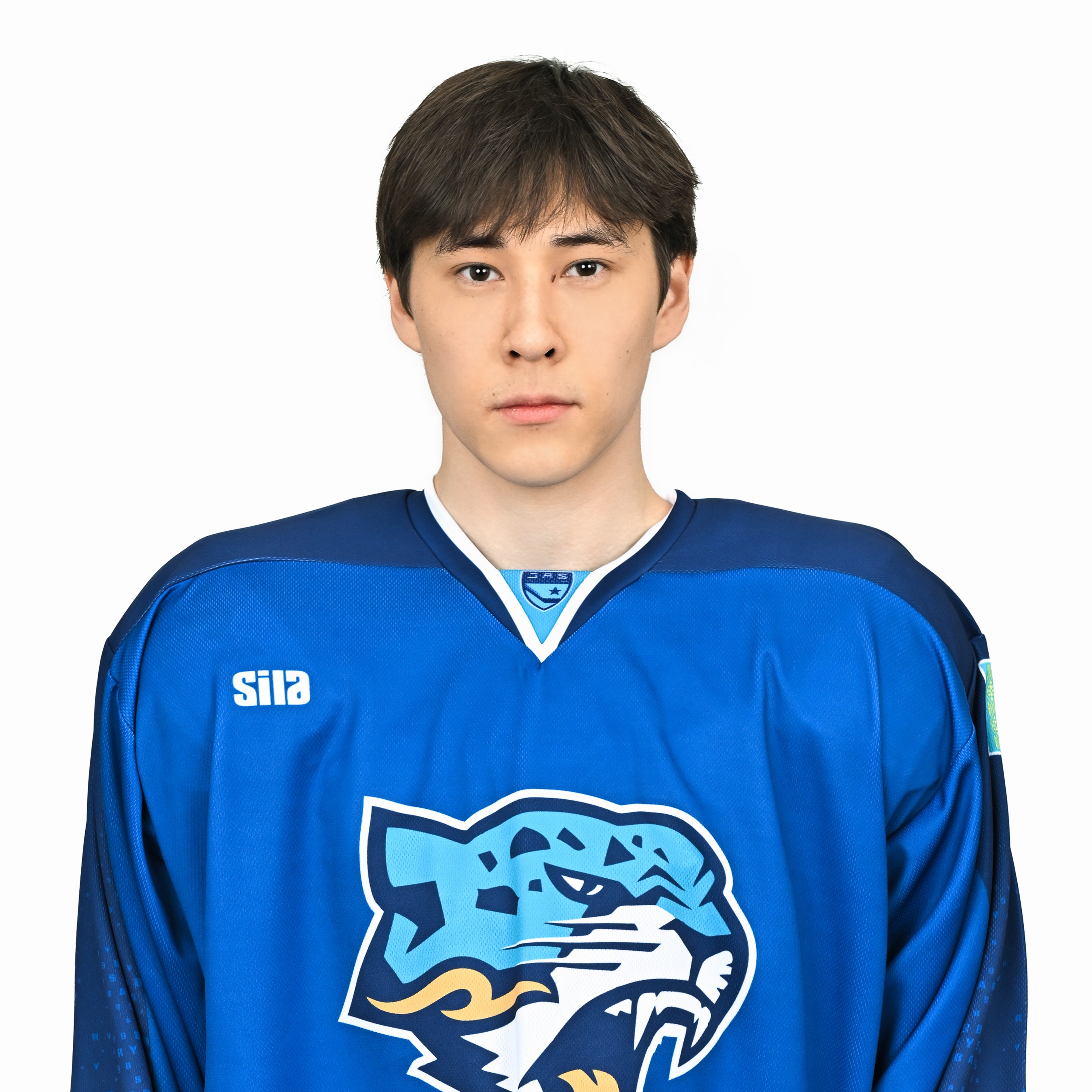 Алпкарин Амир