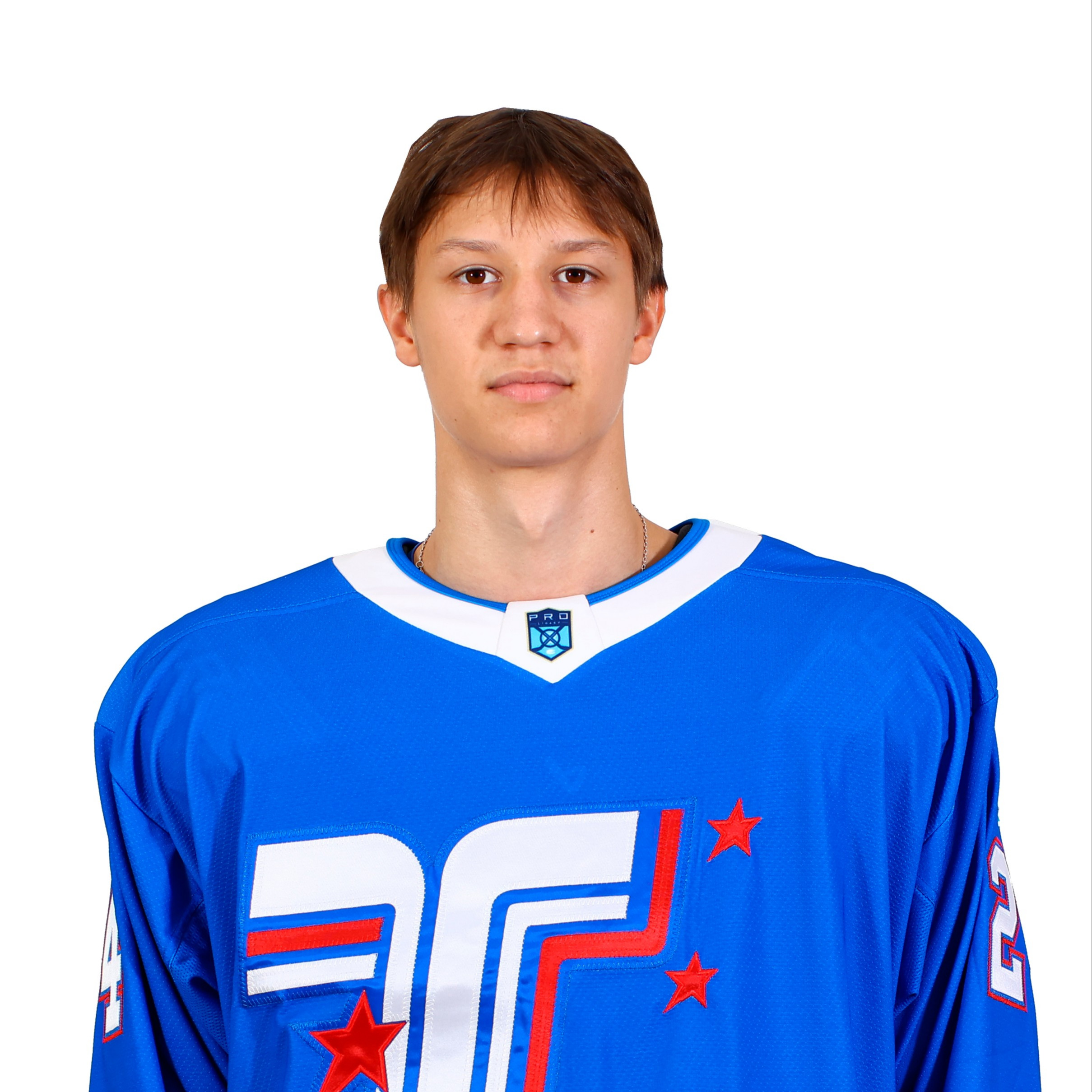 Худяков Роман